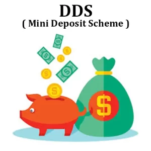 DDS (Mini deposit scheme)